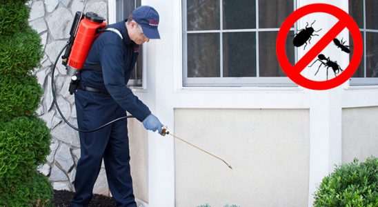 Çan Karınca İlaçlama böcek ilaçlama ve haşere kontrolü — ilaclama-tr.com